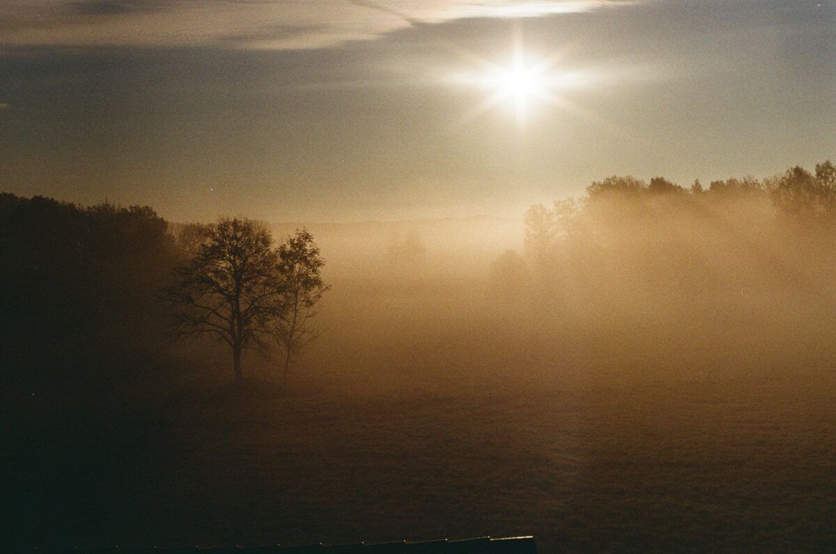 analogt foto dimma