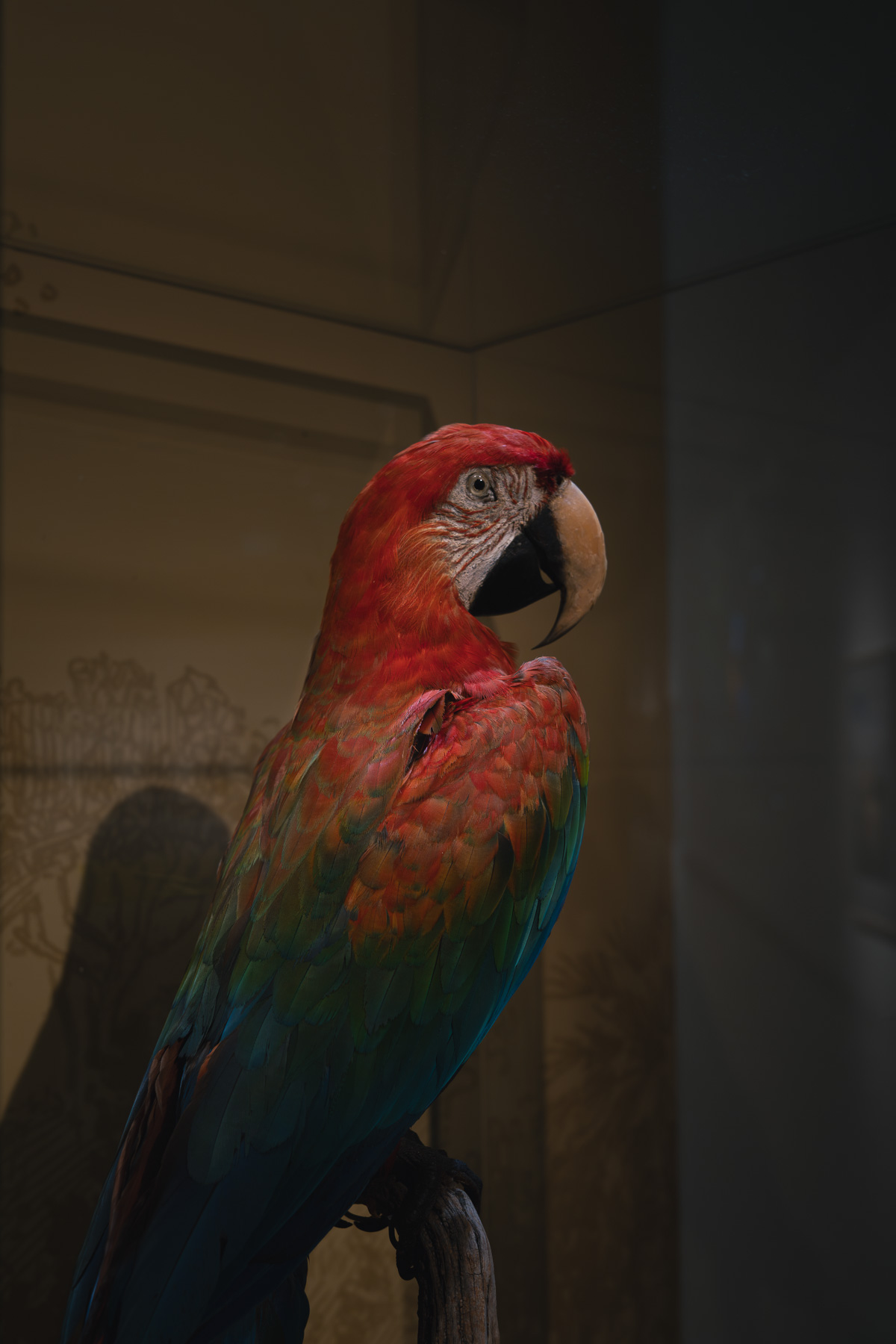naturhistoriska