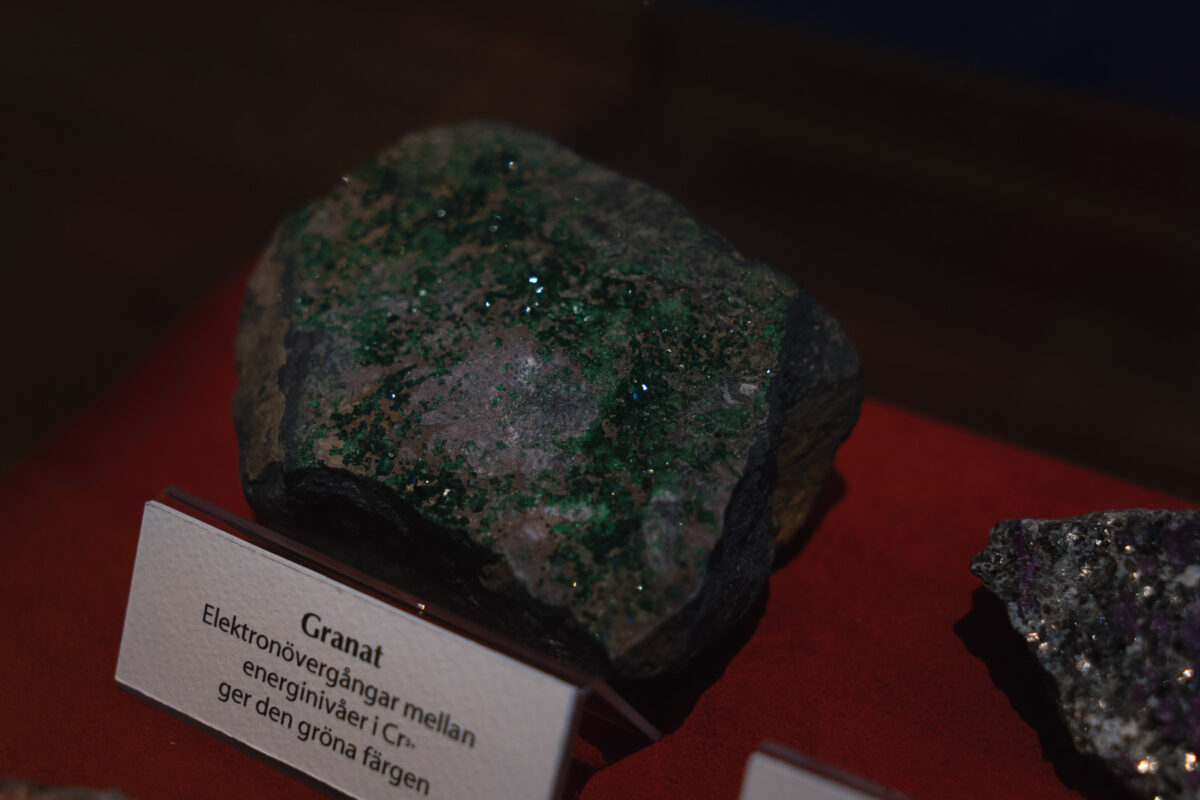 naturhistoriska