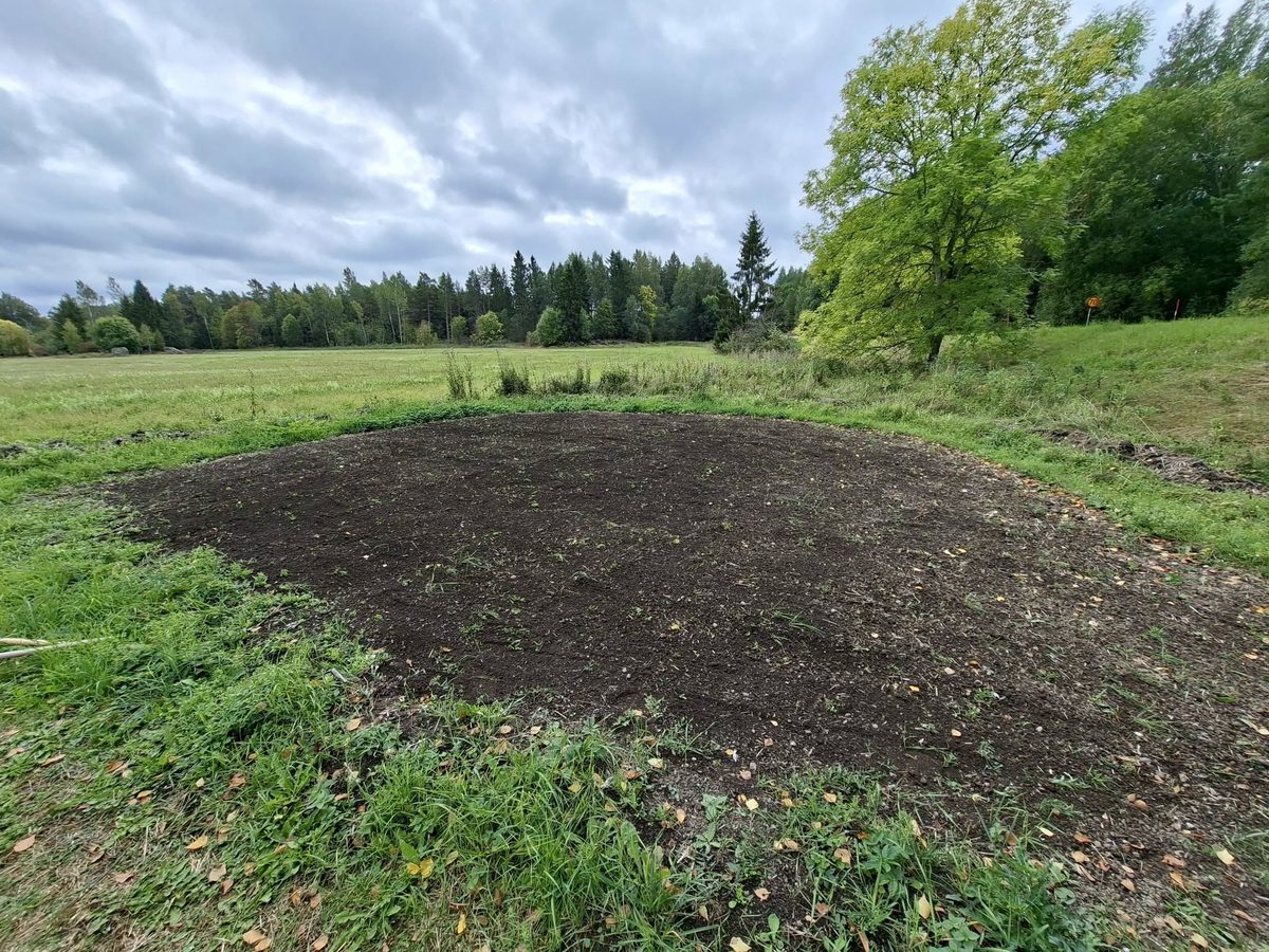 ängsmark