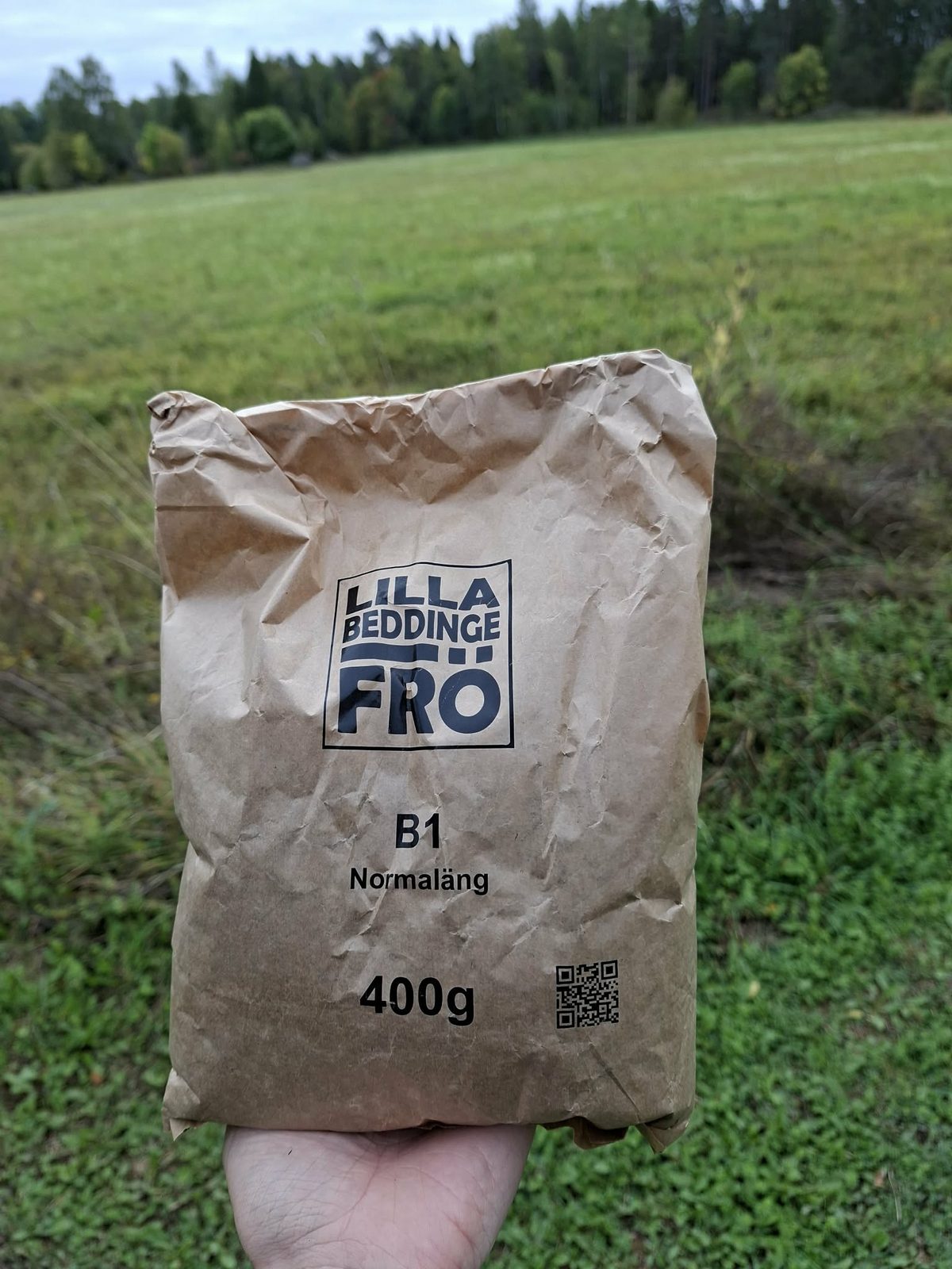 ängsfrön